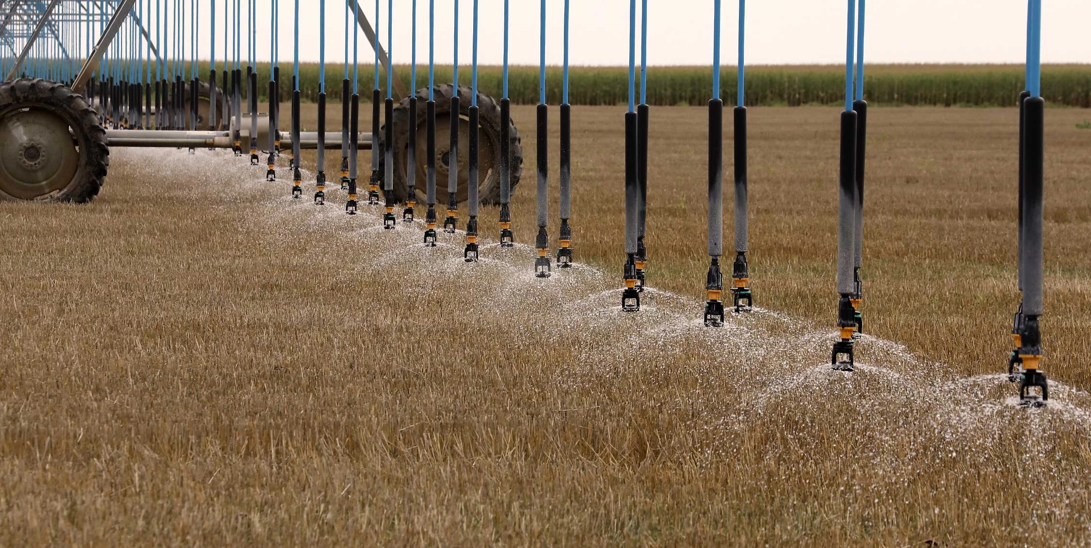komet-pivot-static-field-2.jpg